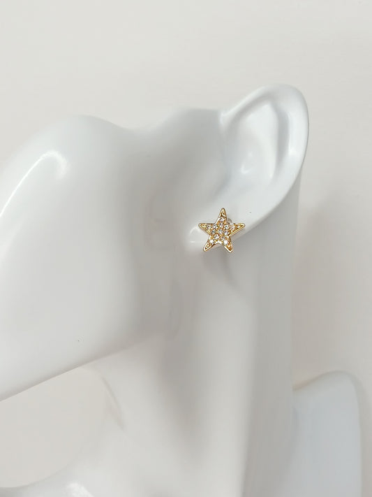 Brinco Estrela Cravejada